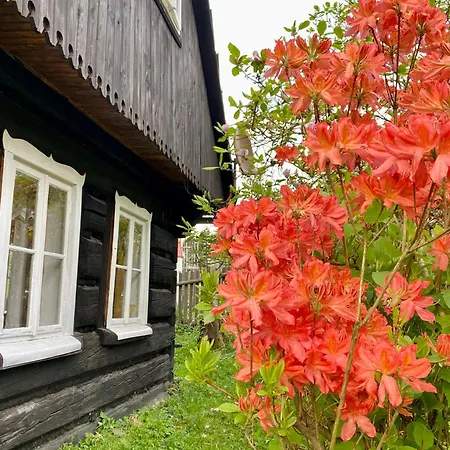 Gaïa * Miedzybrodzie Zywieckie