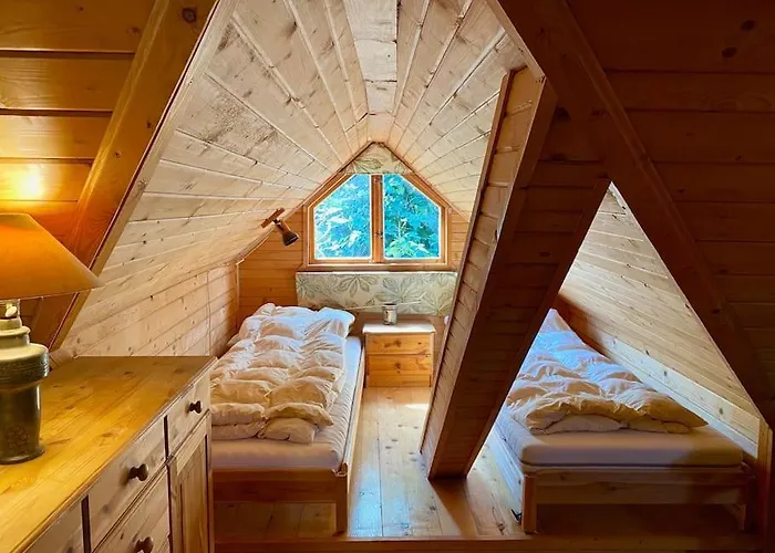 Gaia * מידז'יברודז'י ז'יוויקי