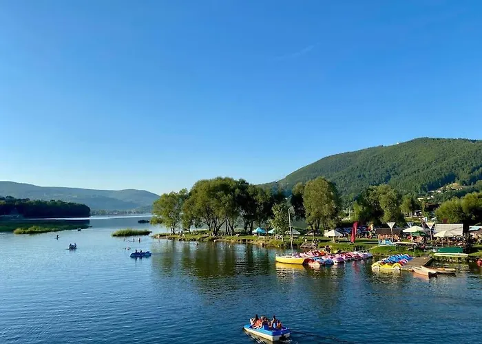 Gaia * מידז'יברודז'י ז'יוויקי