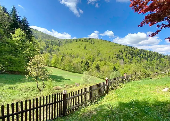 Gaia * מידז'יברודז'י ז'יוויקי